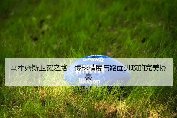 ma-huo-mu-si-wei-mian-zhi-lu-chuan-qiu-jing-du-yu-lu-mian-jin-gong-de-wan-mei-xie-zou-2-736.jpg