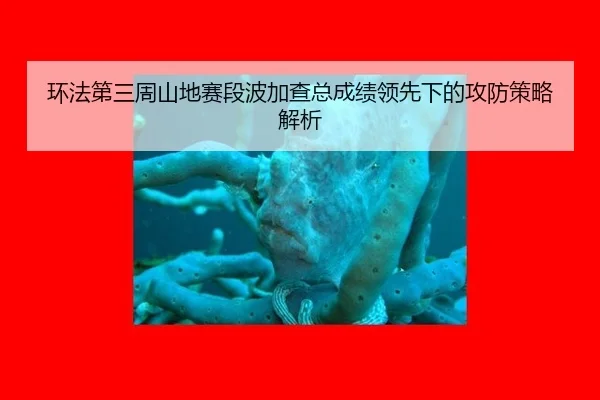 huan-fa-di-san-zhou-shan-di-sai-duan-bo-jia-cha-zong-cheng-ji-ling-xian-xia-de-gong-fang-ce-lve-jie-xi-3-327.jpg