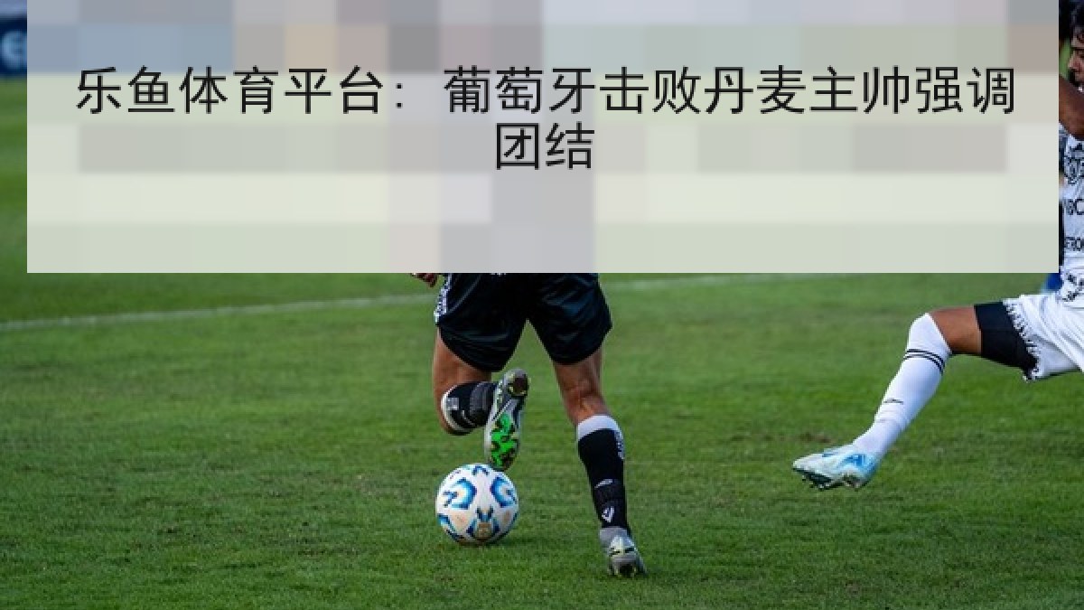 乐鱼体育平台: 葡萄牙击败丹麦主帅强调团结
